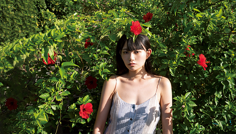 八丈島の至るところで咲く仏桑花（ハイビスカス）が作品のテーマになった