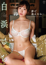 白浜さち 夢で逢えたら… [DVD]