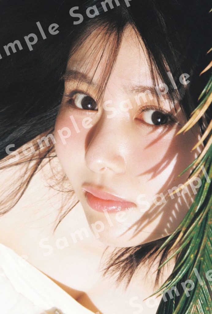 頓知気さきなフォトスタイルブック『また明日！』特典ポストカード3／木陰からカメラをのぞく