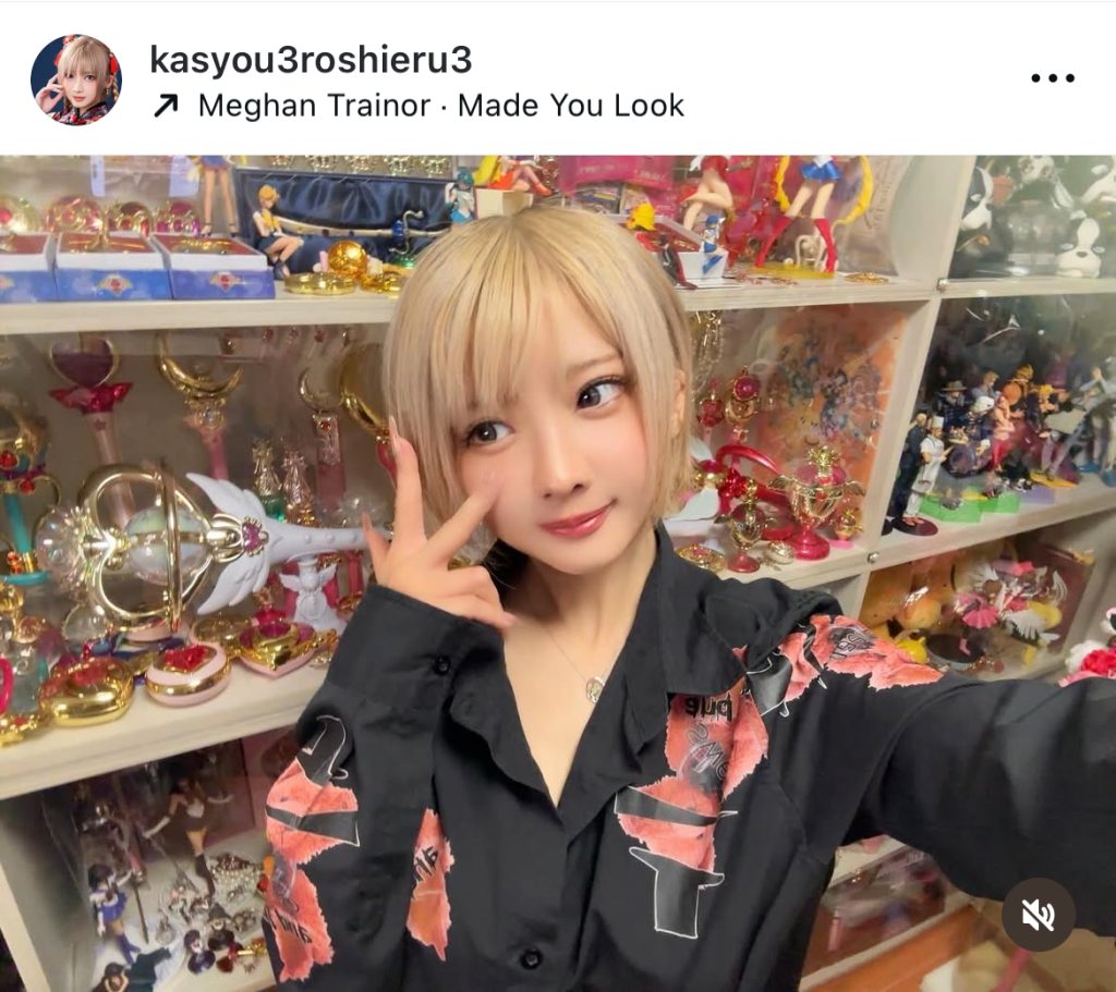 自室のコレクションとパシャリ