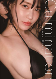 岸明日香 アニバーサリー写真集『Culmination』