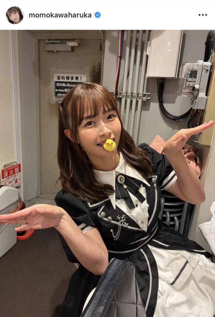 ひよこ?アヒル?をくわえてピヨピヨな1枚