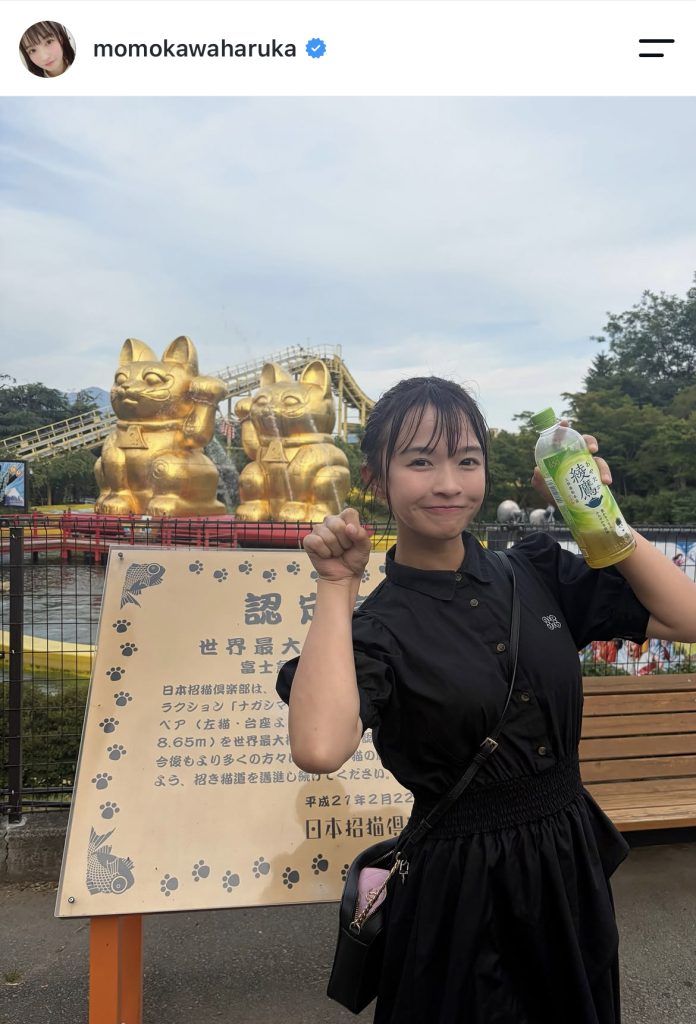 富士急ハイランドを楽しむ
